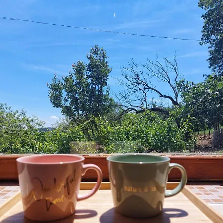Panorama Wine & Chill דירה