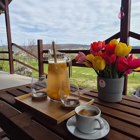 Panorama Wine & Chill Apartment Heviz